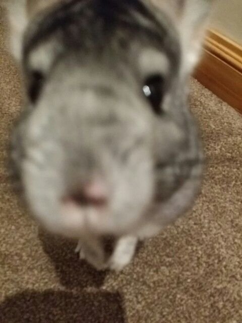 sakiface_'s tweet photo. https://t.co/15SJQmNapx