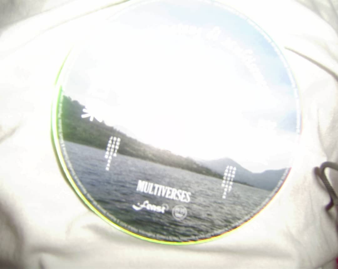 HaileyMontf1qx's tweet photo. [DCARI! ! ILANG DI RUMAH] DC Multiverse CD by Feast

Still in great condition. Lost because I forgot where I put it. https://t.co/LIwAoAA3cW