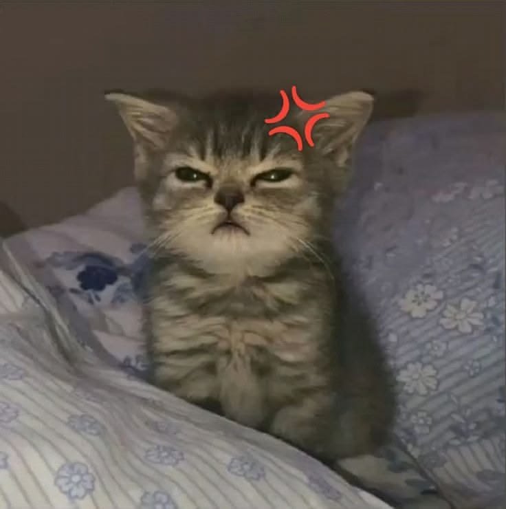evaaqwi's tweet photo. Только утро, а я уже заебалась >.<
Всем хорошего дня!! ♡ https://t.co/jFuMWImQQO