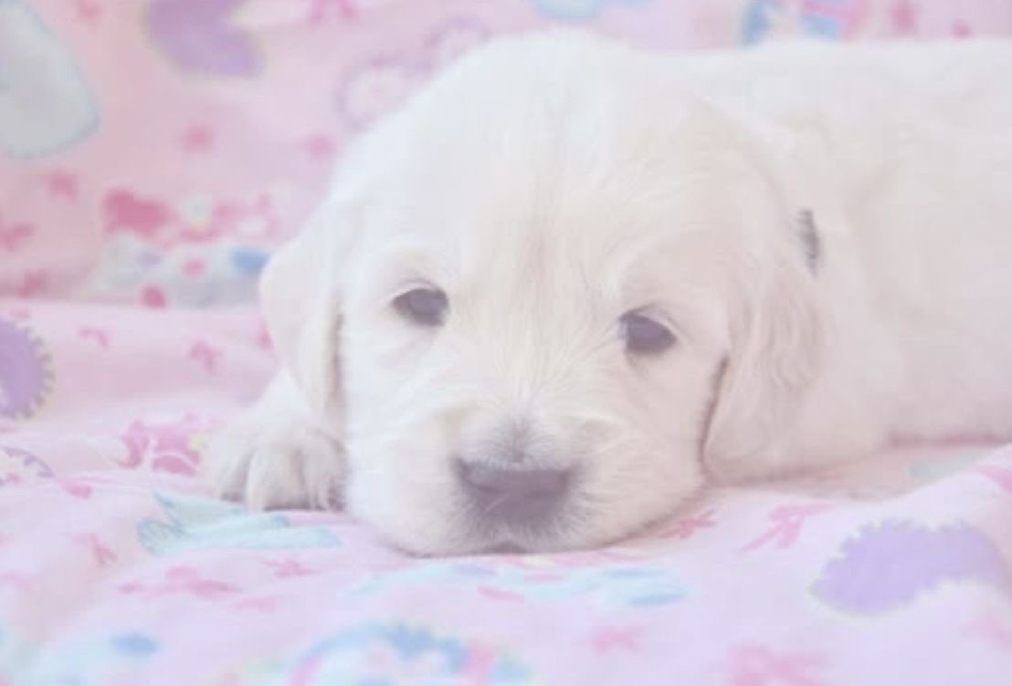 sweetlilgirlie's tweet photo. https://t.co/OFxAwykEmn
