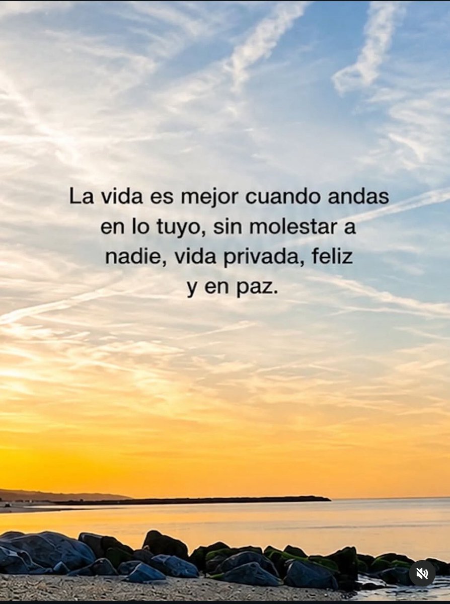 stephienivar's tweet photo. “La paz que se siente cuando dejas de explicarle tu vida a todo el mundo y simplemente te dedicas a vivirla. 💛”
#TeamKarola https://t.co/WisbUVG14E