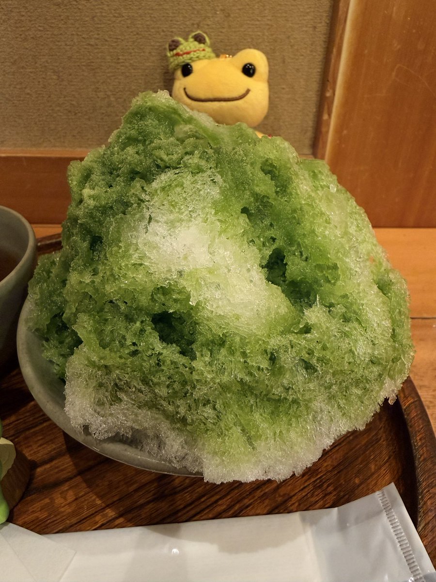 guripearl's tweet photo. 🐸朝も早よから赤福氷ケロ🍧✨
#かえるのピクルス #picklesthefrog #ぬい撮り https://t.co/wKvltPIvXo