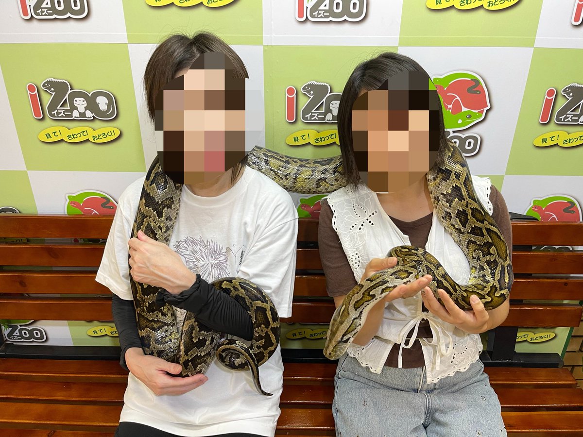 betty_mone's tweet photo. 伊豆白浜神社からのホテルで海鮮ビュッフェ🦐iZooの爬虫類が可愛すぎだし海が綺麗✨️ https://t.co/pps9WqVwNM