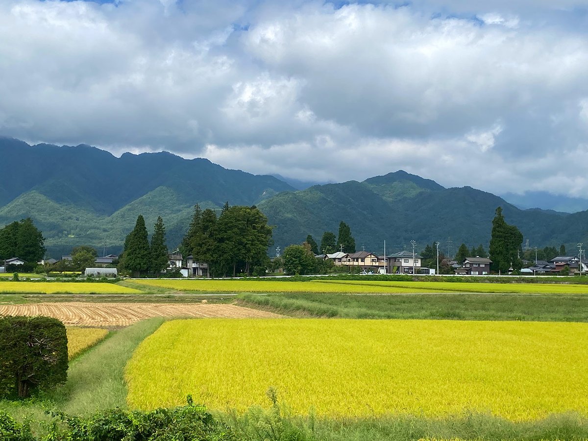 mac_the_machan's tweet photo. いま、窓の外にとても優しい風景が見えています。
昨日も今朝も沢山の人からの励ましメッセージをいただきました。
午後からまた姉がお見舞いに来てくれますが、今日は勇気を出��て自分の気持ちを伝えようと思います。
そんな風に思えたのも皆さんのおかげだと思います。
本当にありがとうございました https://t.co/SWpcTfpLem