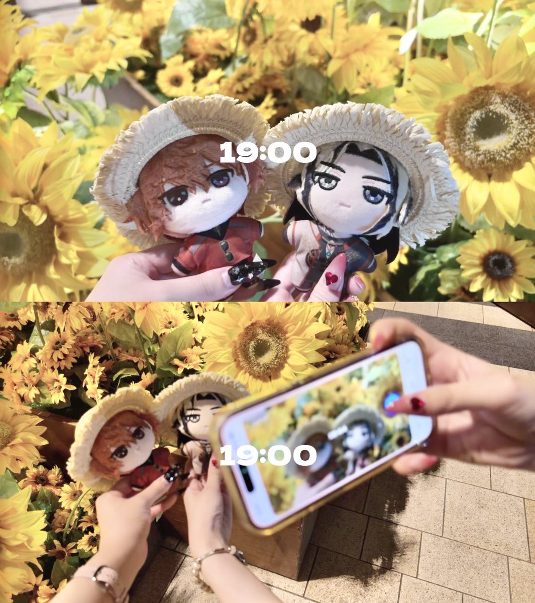 _guang4's tweet photo. 夏の終わりにもう一度 恋に落ちてしまったよ🌻♡ https://t.co/nXAYJsHlUN
