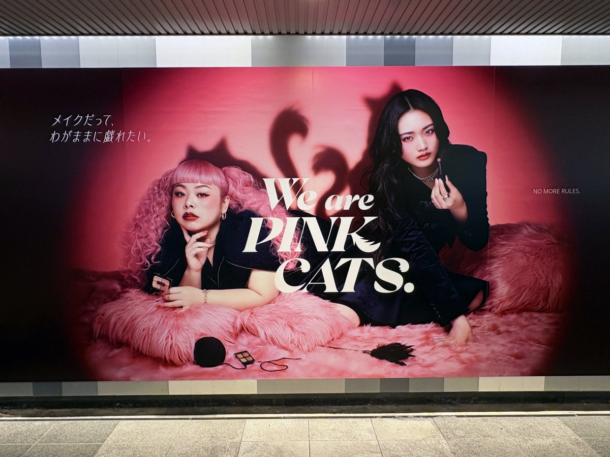sogohodopopeye's tweet photo. #渡辺直美 さんと #山﨑天 さん を起用した #KATE のPINKをテーマにした限定コレクション「We are PINK CATS.」の広告が渋谷駅地下通路に掲出されています💄
渡辺さんと山﨑さんのシルエットが猫に🐈
9/1からKATE TOKYO 渋合サクラステージ店含む一部取取扱店にて販売中をPR✨ https://t.co/x9a6OoCGp1