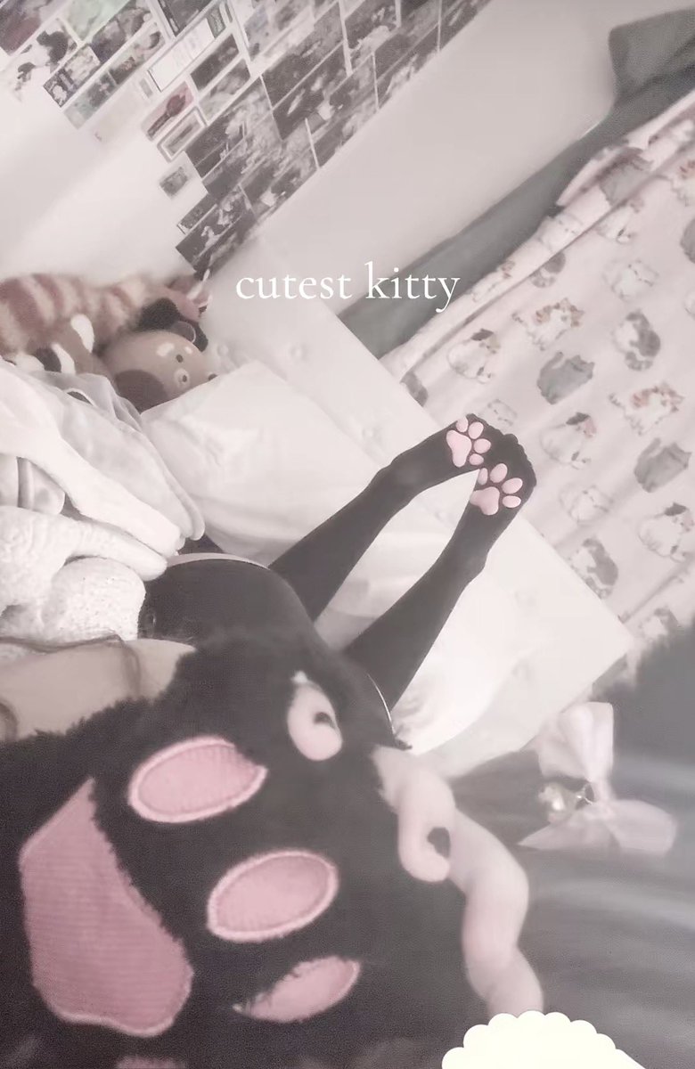 prettykitlily's tweet photo. meow https://t.co/T5N0G8mxM8