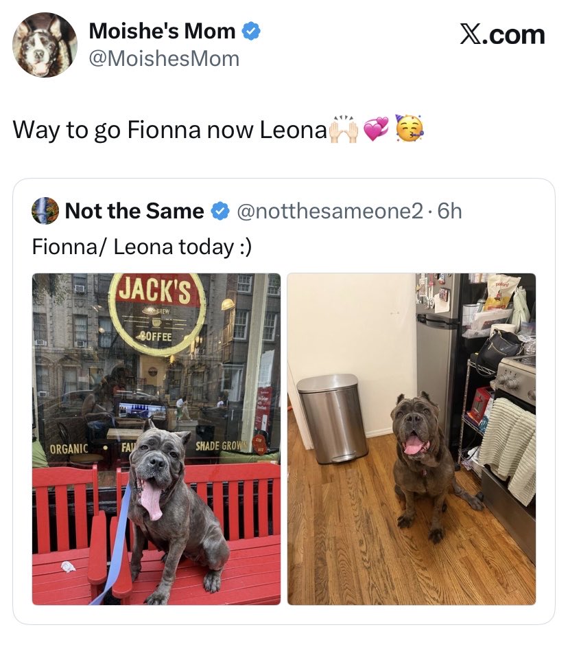 magalys_rios's tweet photo. #FIONNA now #LEONA free from NYC
Thank God she made it out ALIVE ‼️❤️ https://t.co/ojiBn21cOm