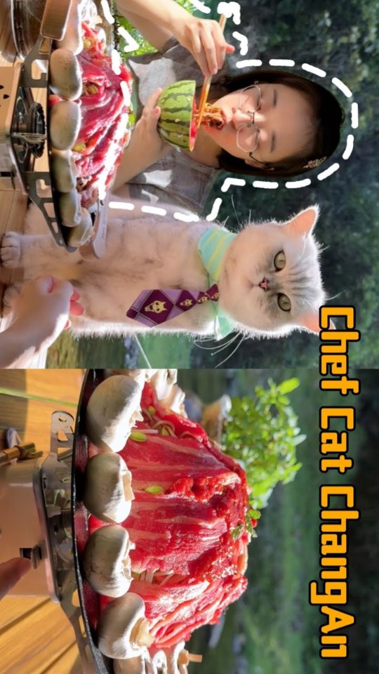 chefcatchaljj1's tweet photo. 好奇 ʕ •ᴥ•ʔ
有人在日本成功買到像小新一樣的蟹肉罐頭嗎！ 整塊蟹肉那種！！！我買過幾種但都不一樣…. https://t.co/zEPkQjVEm4