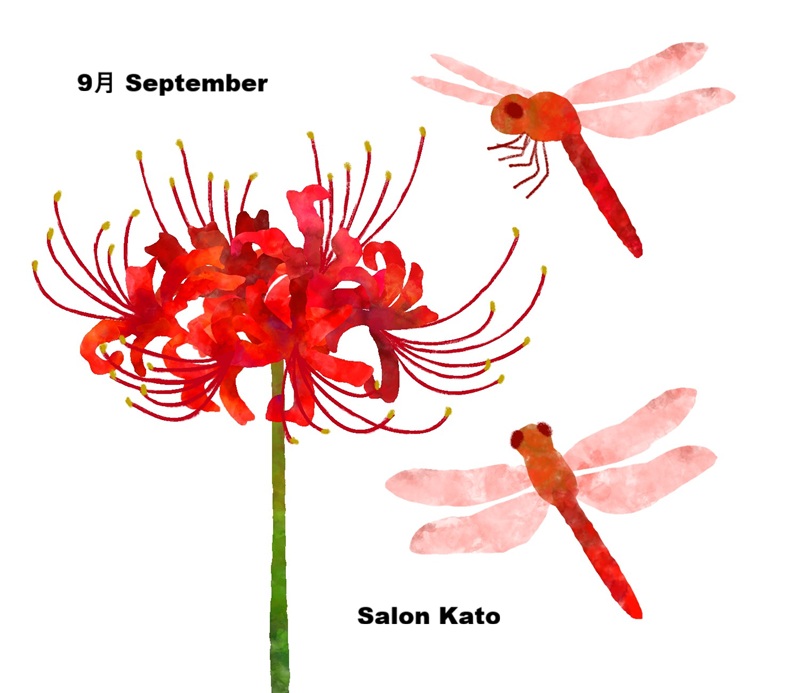 salonkato tweet picture