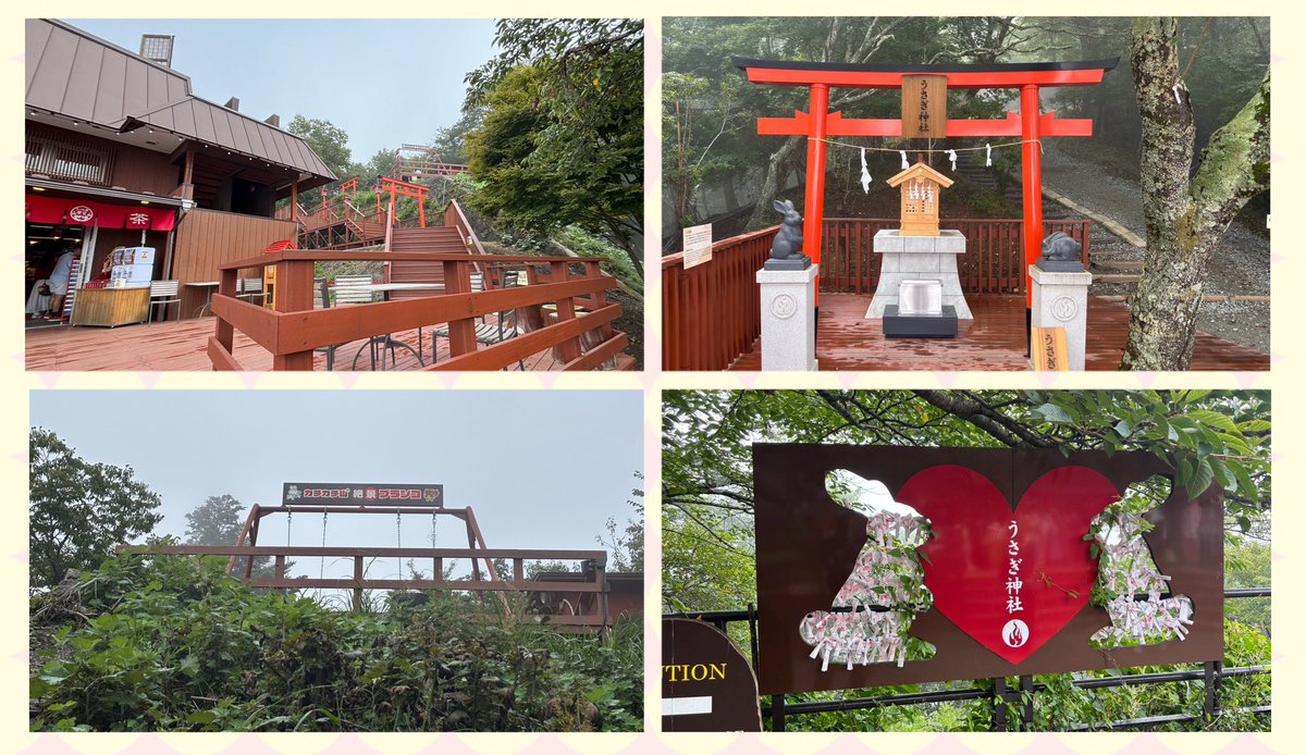 kissy401035's tweet photo. 今日の一発目は河口湖富士山
パノラマロープウェイ🚠
後のことを考えて8時にチェックアウト🏨
8:30には着いたけど残念ながら霧がかってて富士山どころか全く何も見えんかった🥲
そして時間が早過ぎたせいで店も開いてないしカチカチブランコも出来んかった⤵️🥺
気を取り直して
次、行ってみよｫ〜🏍️💨 https://t.co/Jtd4JFQTt9