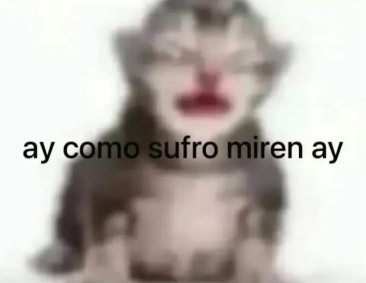 Cherry_QSMP's tweet photo. resumen del stream del G https://t.co/wb5kBIR8Ie