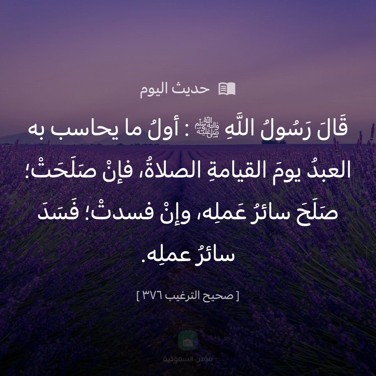 abdlkarim10's tweet photo. https://t.co/0n2YKEkgDu