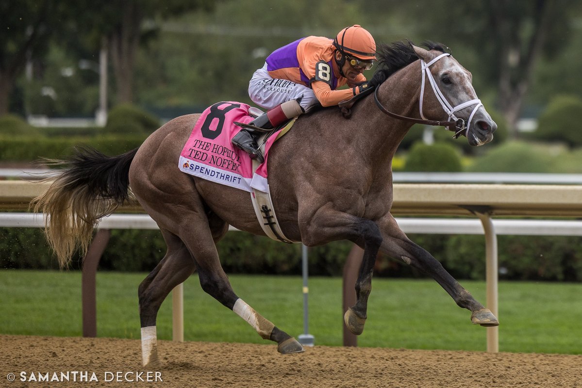 sdeckerphoto's tweet photo. On this day in 2025:  Ted Noffey won the Grade I Hopeful Stakes at Saratoga on the road to being named champion two-year-old male.  This year's edition is this Sunday.

Shot for the @saratogaspecial https://t.co/gkDN5KB3FO
