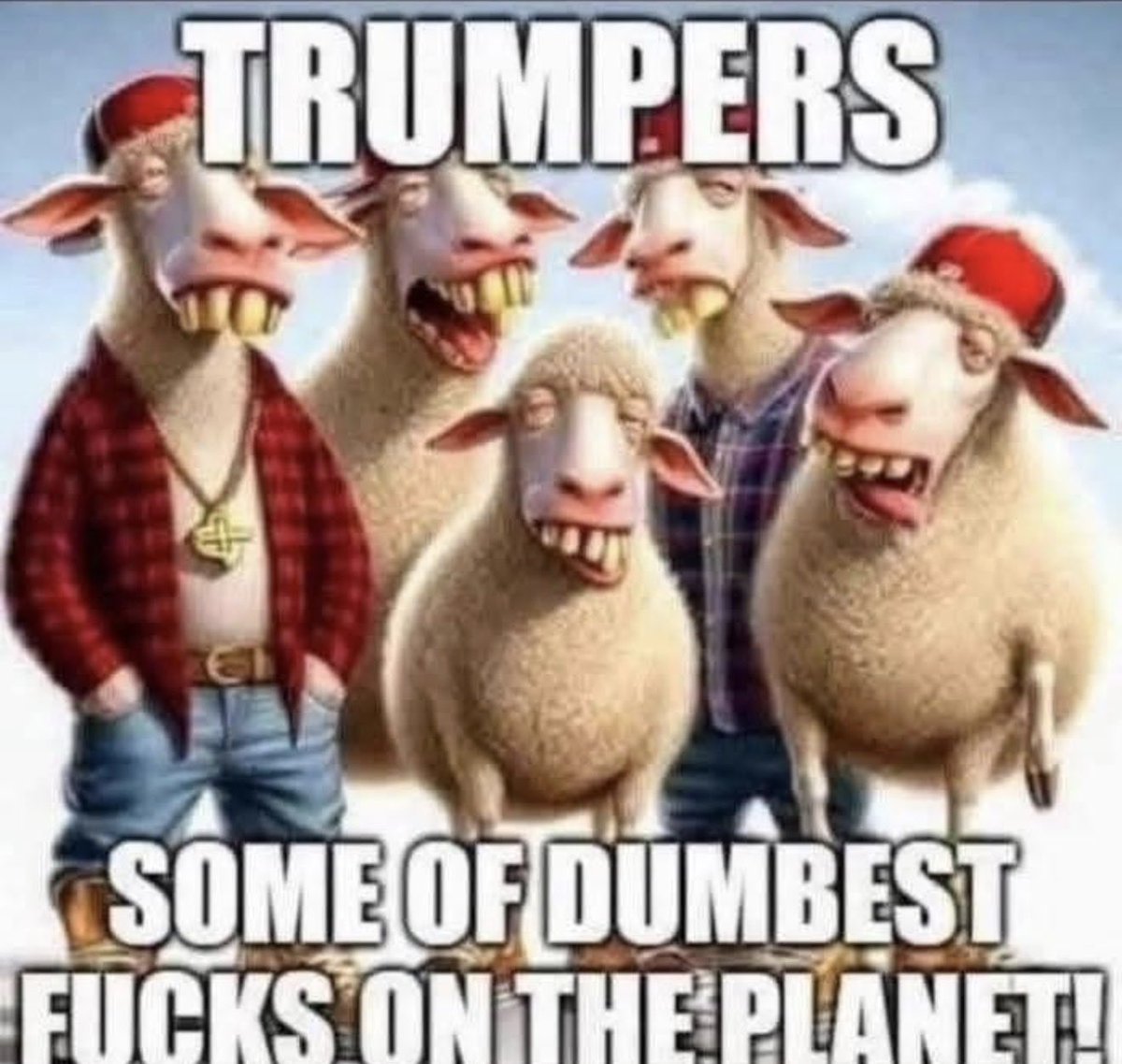 Donnellw1M's tweet photo. @LauraLoomer @TheBlackCaucus @AngieNixon Looney Loomer you are nothing but a trailer trash clown! If anyone is a bitch, it’s you sorry ass! Plastic bitch with blown up lips, so you can lap up your dog food! You are by far the ugliest clown face bitchs! You needed to blow up your lips so you could suck off Orange man? https://t.co/9Oer9zcmMd