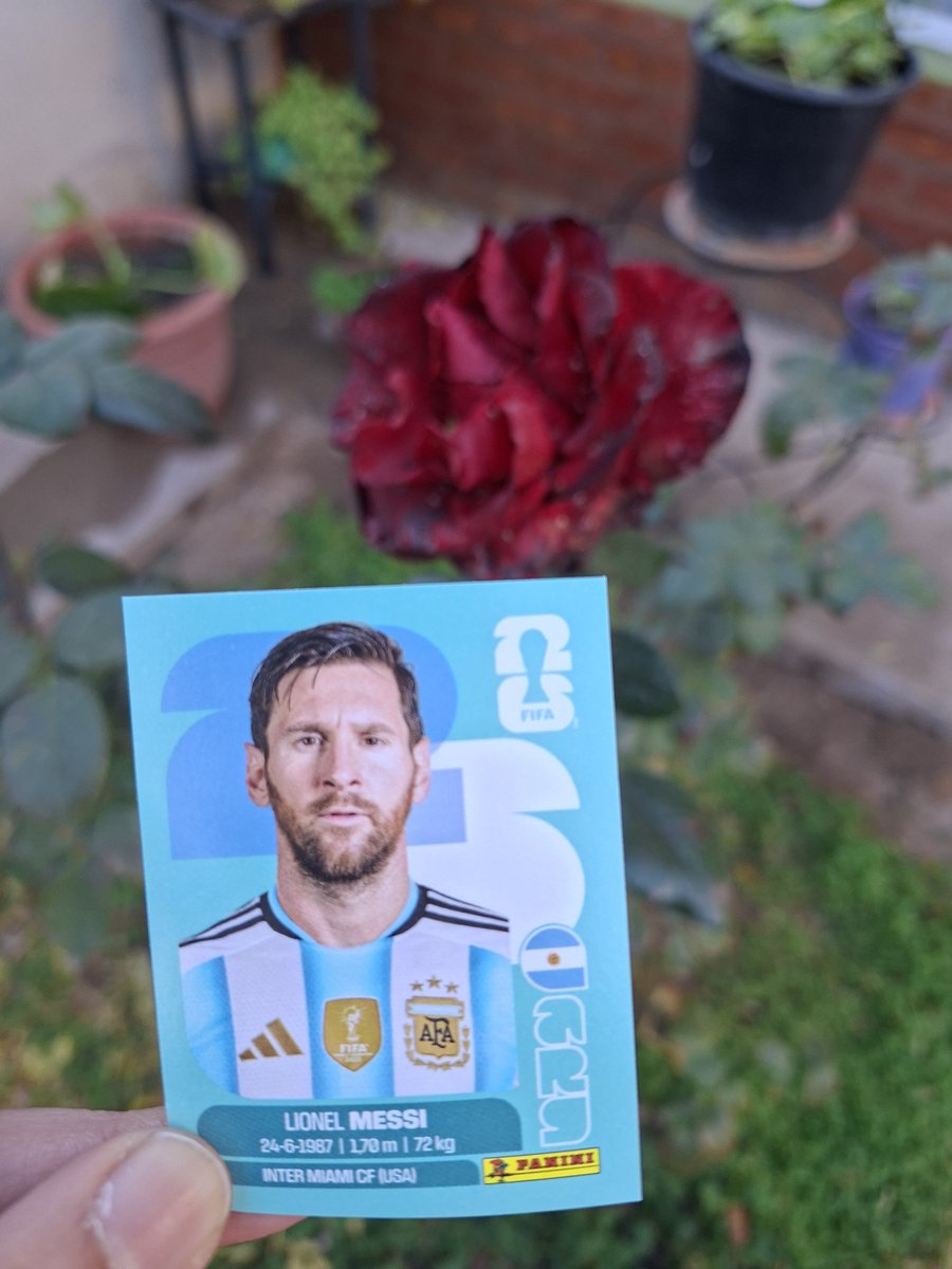 PildorasVitamin's tweet photo. Gracias por insistir, por bancarte cada golpe, por no bajar los brazos nunca. Sos un gran ejemplo de jugador y no me queda dudas, de persona. Canceriano mágico. Te amo mucho. GRACIAS GRACIAS GRACIAS! 💚 https://t.co/zELn5cLFpB