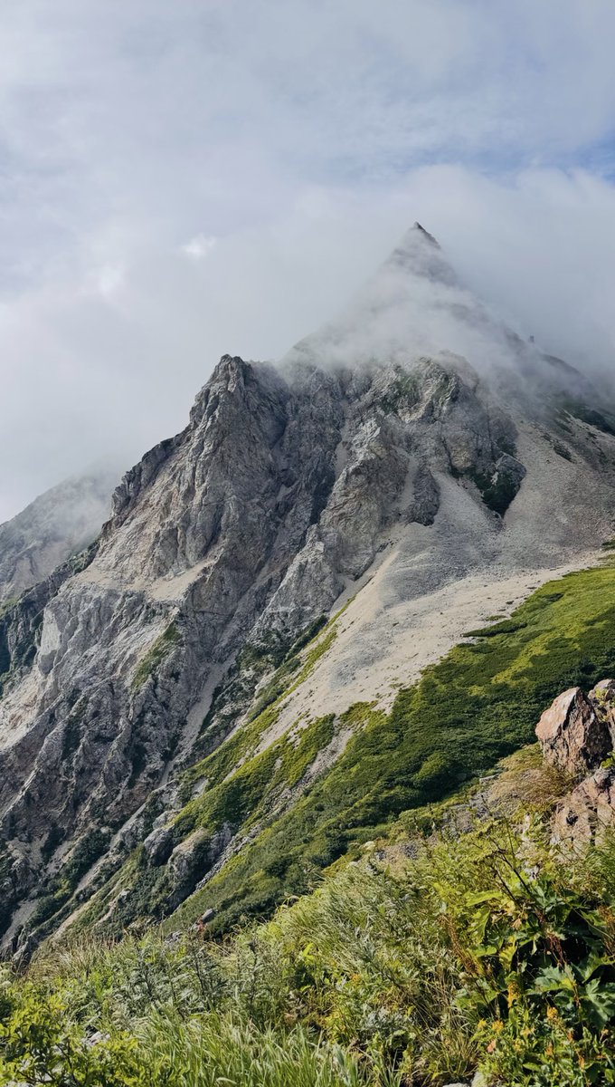 Y1984Na's tweet photo. 去年の今日！白馬岳の景色もすごく癒されたよ🤩

#登山好きな人と繋がりたい #登山部 #山歩き #ハイキング #トレッキング #山の景色 #山のある風景 #自然 #森林浴 https://t.co/WR27ESjbnp