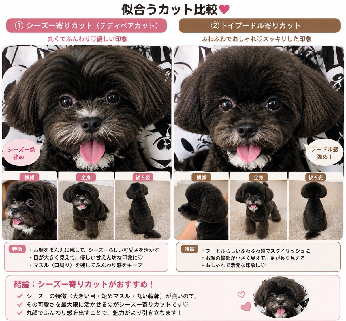 cherry_ffgm's tweet photo. うちの子はシーズー×トイプードルのMIX犬🐶シープー🐶
どっちかというと、シーズー寄り。
そこがお迎えのポイントだったんだけど😍
カットどうしよう…って悩んでチャッピーに相談したら、的確すぎる回答🤣
やっぱチャッピー最強説。
AIって凄い‼️
#シープー
#シーズー
#トイプードル
#ミックス犬 https://t.co/tdKmdrYPMh