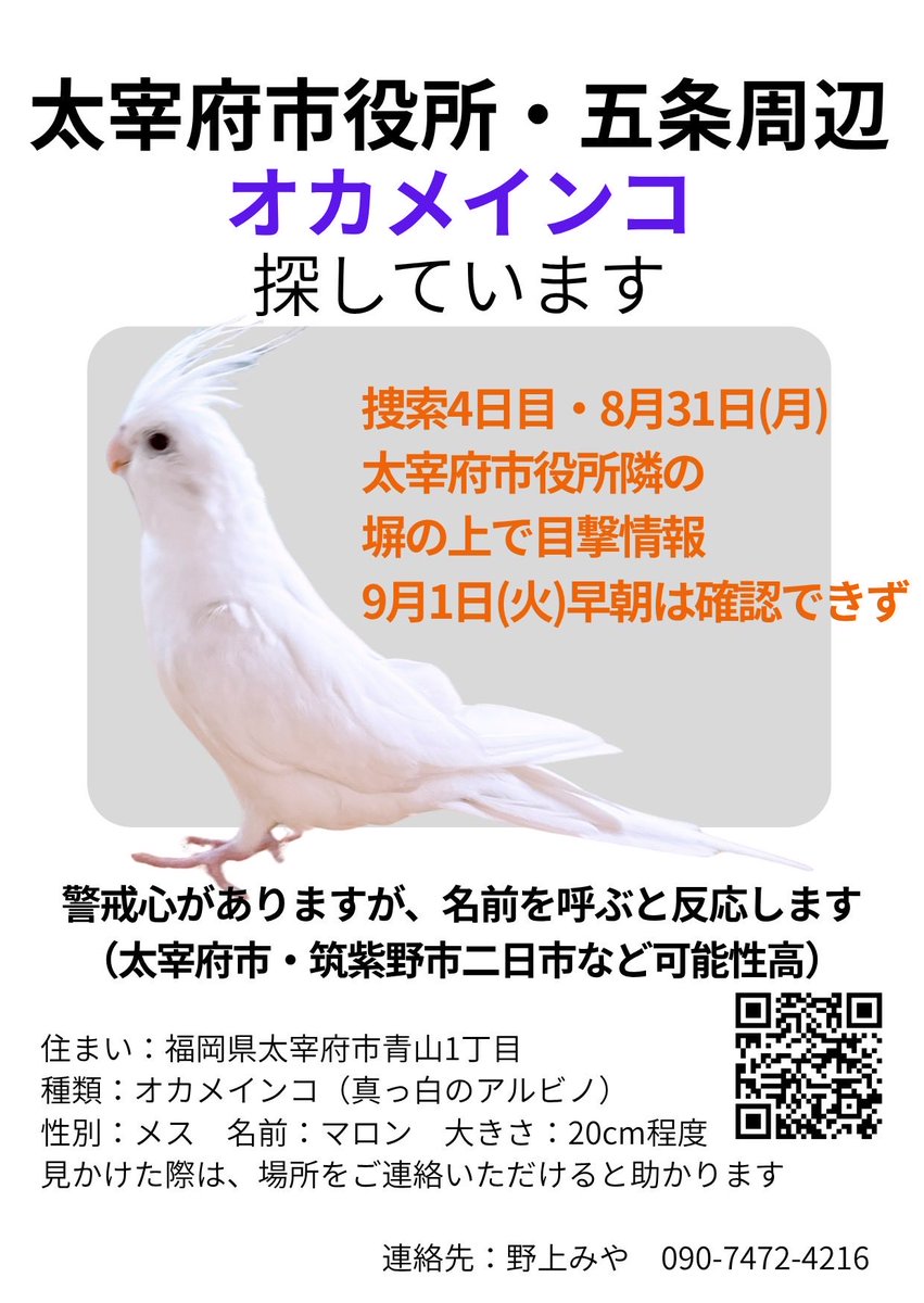 image_coral's tweet photo. https://t.co/7AENiNzeF7