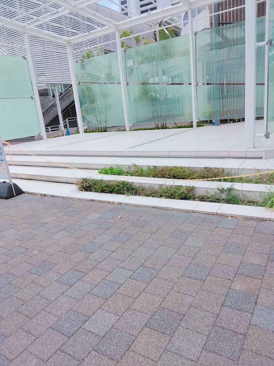 ritosyahu's tweet photo. 見える！SweetBulletの姿が！ https://t.co/Y3i1bY8g9u