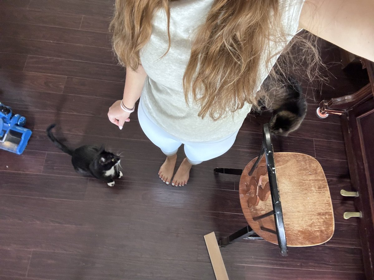 luvlycassiopeia's tweet photo. Chat he calls me a brunette. Am I delusional that I think my hair is dirty blonde https://t.co/58N1Eej2GH
