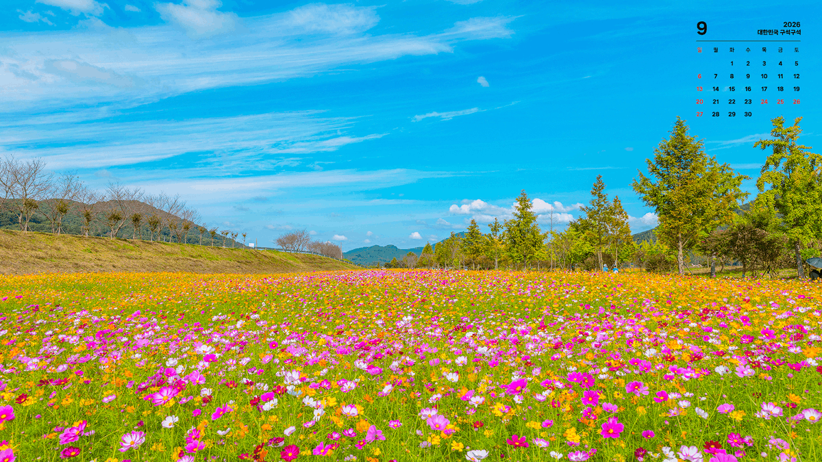 Kor_Visitkorea's tweet photo. 똑똑, 9월 월페이퍼 배달 왔습니다 💌

매달 기다려지는
대한민국 구석구석 pick 월페이퍼!

9월에는 어떤 아름다운 장소들이 담겼을지 확인해 보세요✨
PC, 테블릿용 월페이퍼는 하단 링크를 통해 다운받을 수 있습니다!

🔗 https://t.co/UQrkdx9wW3

📷 경남 의령 호국의병의숲친수공원 (박장용 사진작가)
📷 인천 남동구 소래습지생태공원 (나기환 사진작가)
📷 전북 진안 마이산 (이점영 사진작가)
📷 충남 공주 공산성 (김영호 사진작가)
