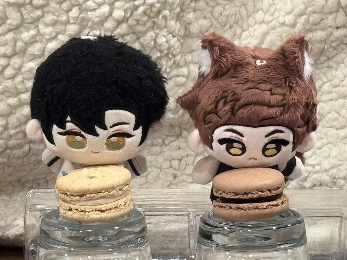 LouUwu's tweet photo. nomnomnomnom  😋

"Valko, I heard you like sweets too?"

"I love chocolates a lot!"

"It's my birthday soon, so let's have delicious macarons together! You can have the chocolate one"

#全世界都爱敖尹 #ValkoIsLoved #BringBackValko #BringValkoBack #ReinstateValko #NoValkoNoMoney https://t.co/9wWAWkIAf9