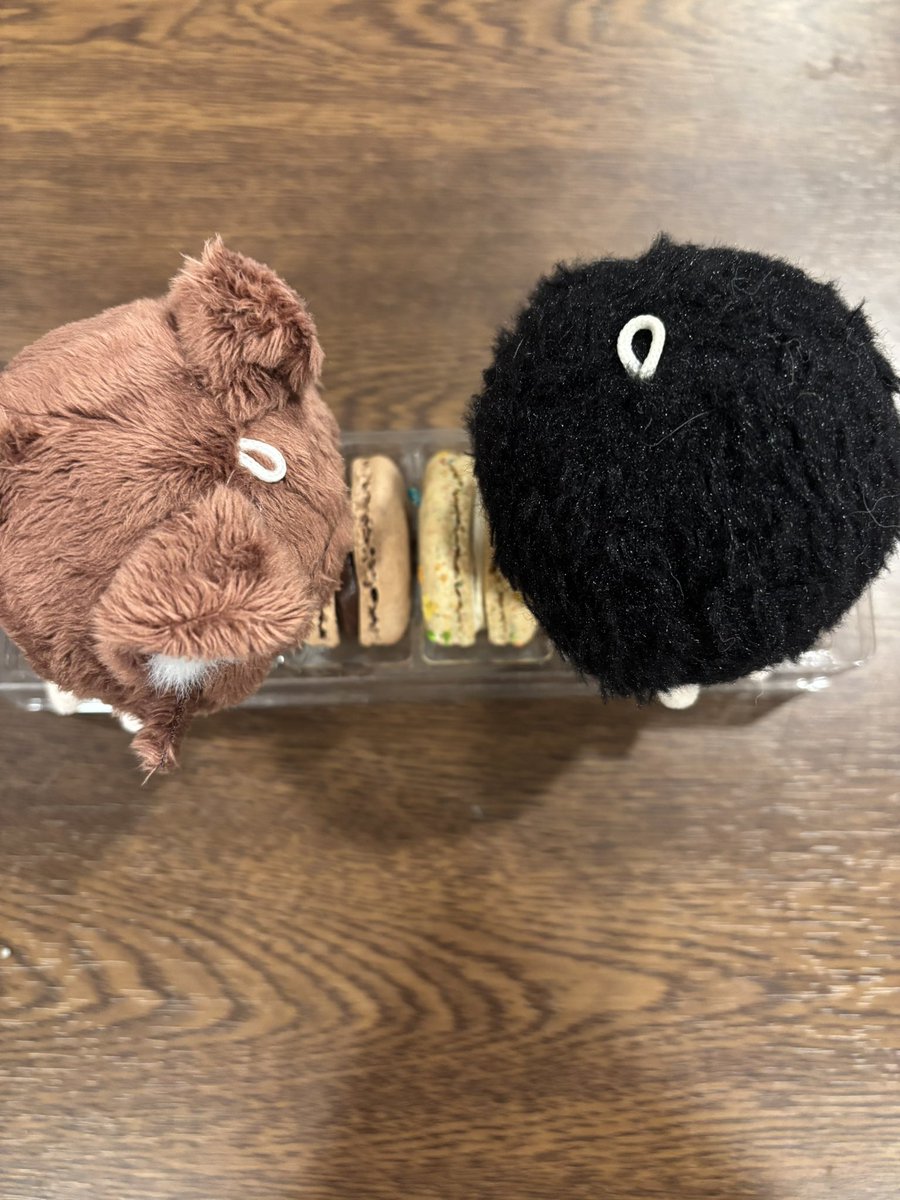 LouUwu's tweet photo. nomnomnomnom  😋

"Valko, I heard you like sweets too?"

"I love chocolates a lot!"

"It's my birthday soon, so let's have delicious macarons together! You can have the chocolate one"

#全世界都爱敖尹 #ValkoIsLoved #BringBackValko #BringValkoBack #ReinstateValko #NoValkoNoMoney https://t.co/9wWAWkIAf9