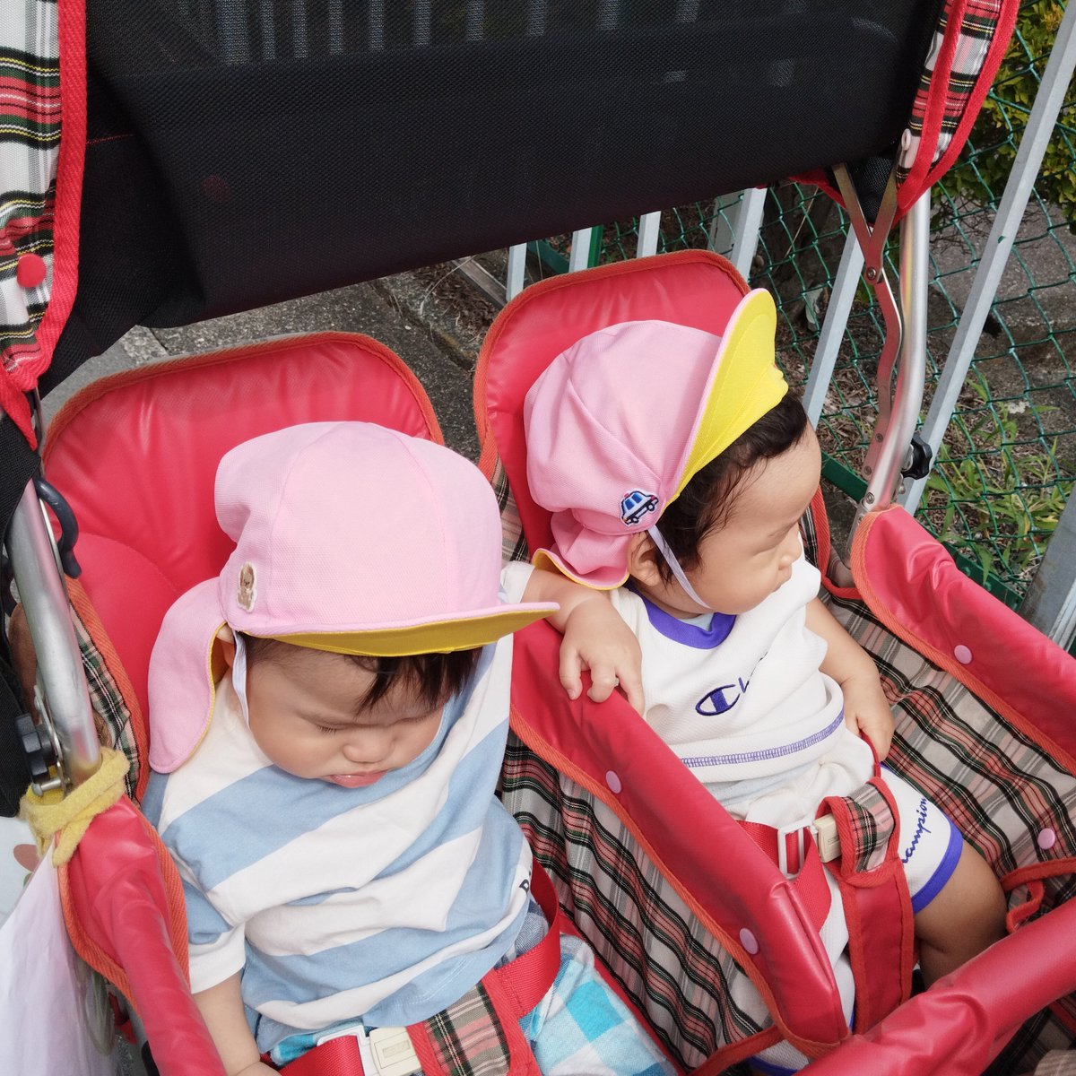 mokokids's tweet photo. ☆モコ草薙保育園☆
ひよこ組🐤
今日は靴下を履いて帽子を被り、６人揃って初めてのお散歩へ。園周辺を少しお散歩してきました。泣いていた子もベビーカーが動き出すと泣き止み、スヤスヤねんねしちゃう子も。涼しくなったらいっぱいお散歩に行こうね！
#保育園
#子ども https://t.co/RIjJ2bpuGa