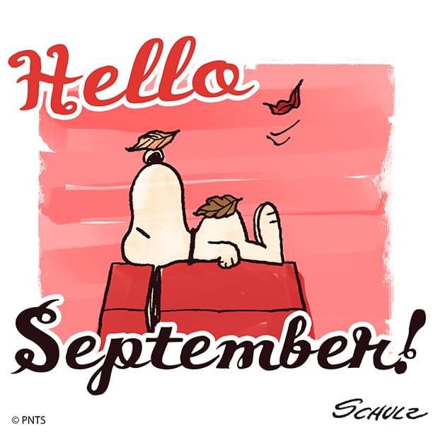 snoopyandfrien6's tweet photo. Hello
September! https://t.co/FtHnEJlFqa