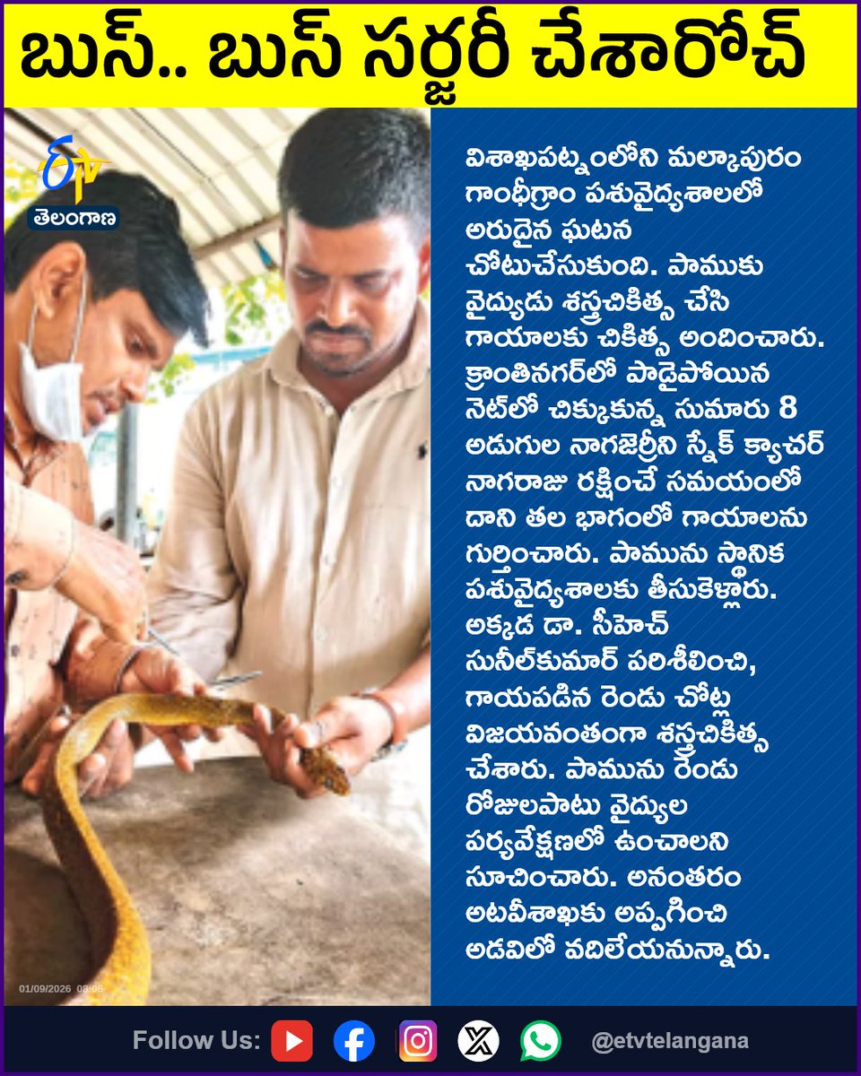 etvtelangana's tweet photo. బుస్‌.. బుస్‌ సర్జరీ చేశారోచ్‌
For More LIVE Updates Click This Link
https://t.co/J7l3k76SGA
#Visakhapatnam
#Gandhigram
#SnakeSurgery
#VeterinaryDoctor
#Etvtgbreaking https://t.co/yqKovPWXnN