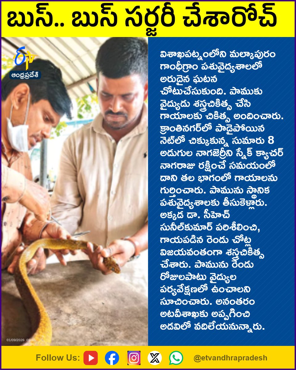 etvandhraprades's tweet photo. బుస్‌.. బుస్‌ సర్జరీ చేశారోచ్‌
For More LIVE Updates Click This Link
https://t.co/eltbdVshne
#Visakhapatnam
#Gandhigram
#SnakeSurgery
#VeterinaryDoctor
#Etvapbreaking https://t.co/ovJnwzZqJo