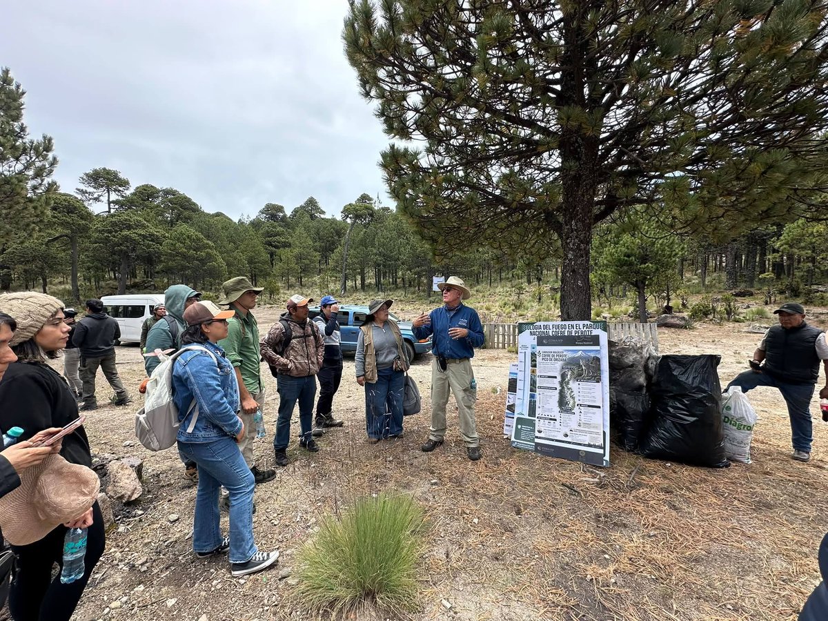 CONANP_mx's tweet photo. En el marco de la Jornada Nacional de Reforestación 2026, se realizó una Jornada de Reforestación Social en el Parque Nacional #CofreDePerote. 🏔️🌱
Conoce más en nuestro #Blog ➡️ https://t.co/23cM6s9cl0 #SomosNaturaleza #GuardianesDeLaNaturaleza 🌿🌊🌸 https://t.co/fvQsjqOZ94