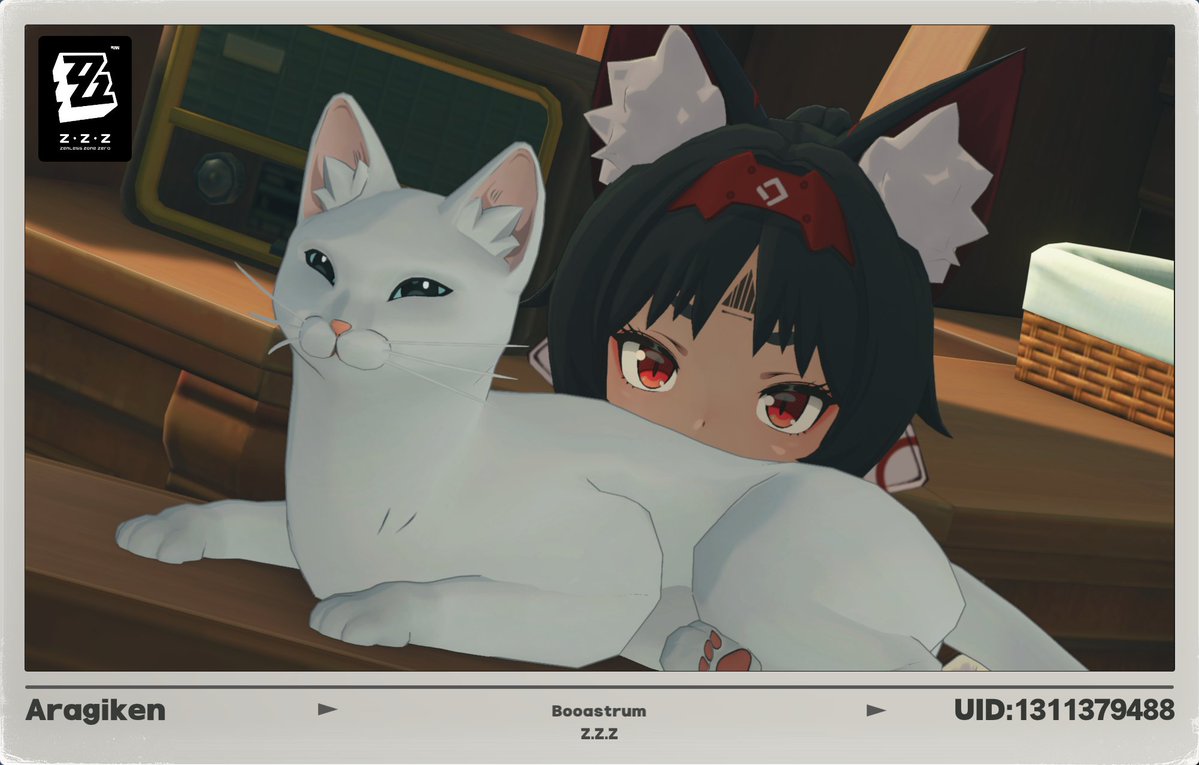 aragik3n's tweet photo. meow meow https://t.co/HEFsnjtXoC