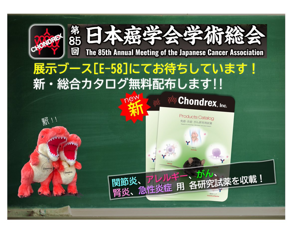 chondrexincjp's tweet photo. 【癌学会SP】みなさん、今日から9月です！ 今月24日からスタートの癌学会では、別館イベントホールのブース番号[E-58]、岩井化学薬品さんと合同で展示します！皆様にお目にかかるのを楽しみにしています😆
#jca85
#Chondrex
#京都国際会館別館イベントホール https://t.co/4Kn8snG1dV