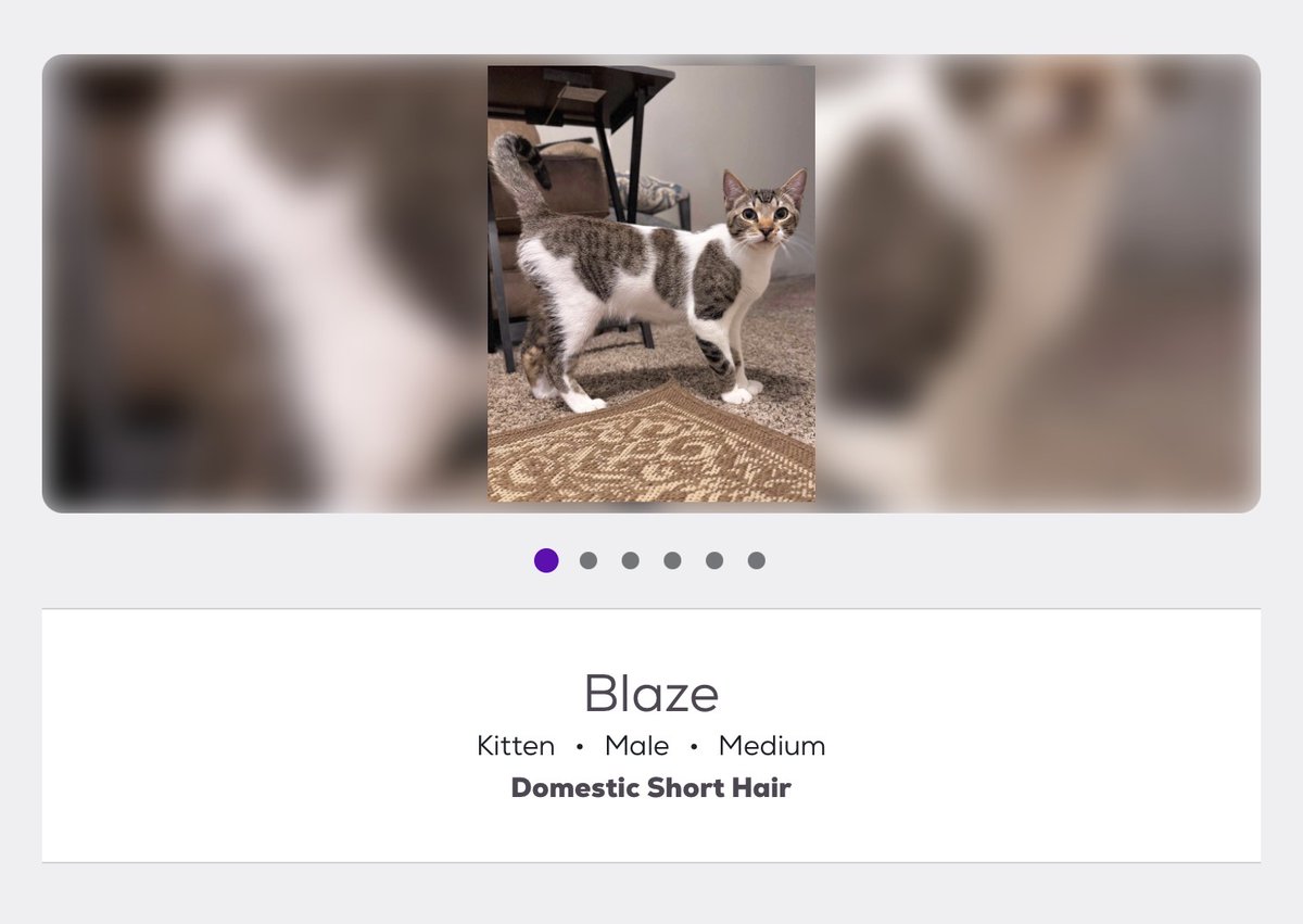 blindbyyourlove's tweet photo. this the band blaze everyone been speaking of? https://t.co/68dGyrYROK