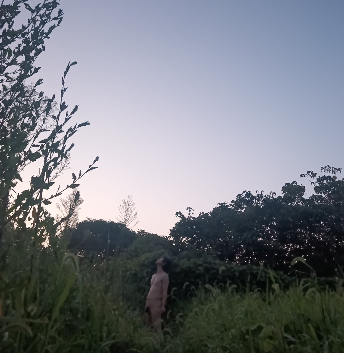 arinomamani196's tweet photo. #ナチュリスト
ありのままに生きる https://t.co/L9Oq2NMDXn