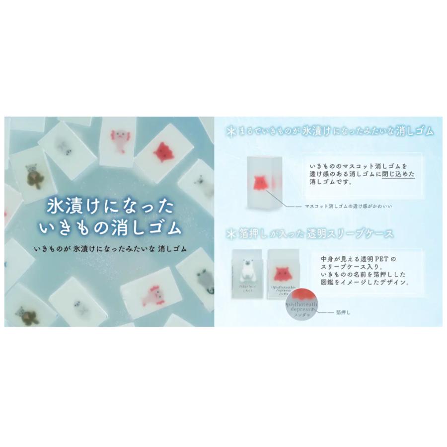 artKABOSU's tweet photo. やーっぱ夏は氷漬けになった生き物っすね！

かわいそかわいい氷漬けシリーズ再入荷しました✨

https://t.co/xm3KLHHjpY

＃企業公式相互フォロー　＃文房具　＃消しゴム https://t.co/3pFmhcpAiZ