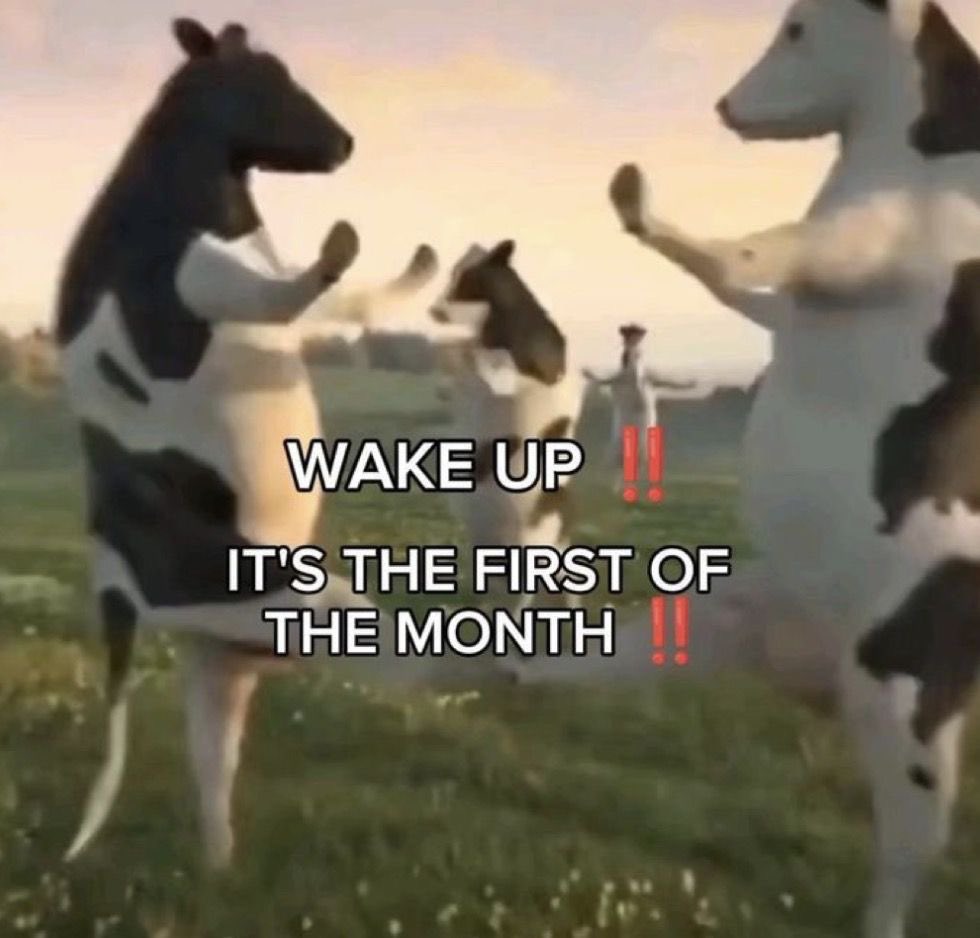 Kat0to's tweet photo. wake up, it’s the first of the month https://t.co/NR4N1rTpx9
