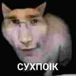 Toxik_prich's tweet photo. @jollllgg https://t.co/Rms0bJd7IM