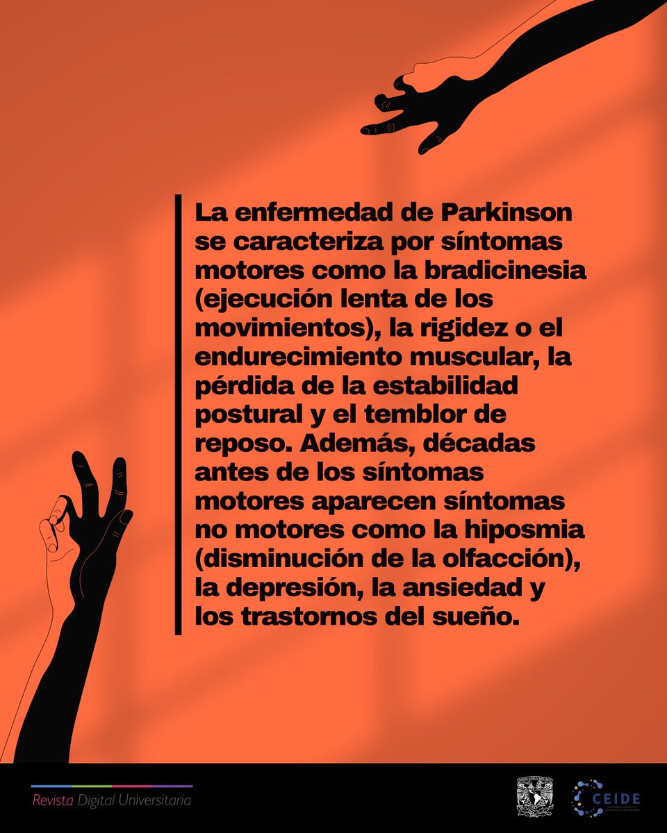 rdu_unam's tweet photo. 🙌🏼“Enfermedad de Parkinson y la pimienta: explorando su potencial terapéutico”👋🏼
🔗https://t.co/wTKAnnJxLw https://t.co/4dJyFZkIL1