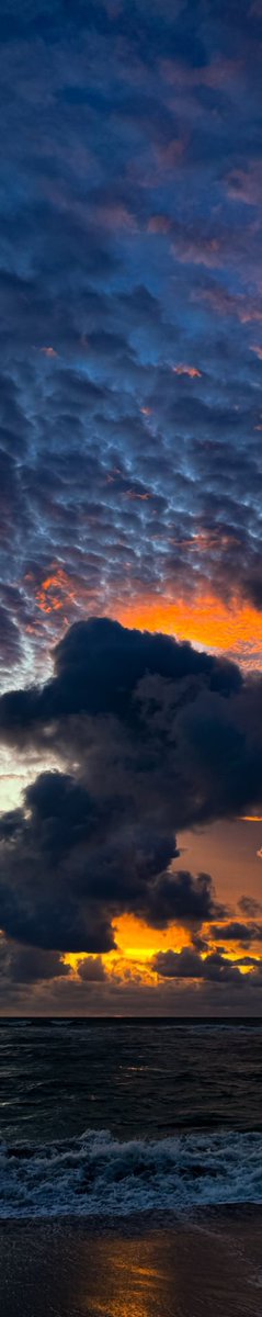 flower6260's tweet photo. Sunset https://t.co/T7YooV8CQe