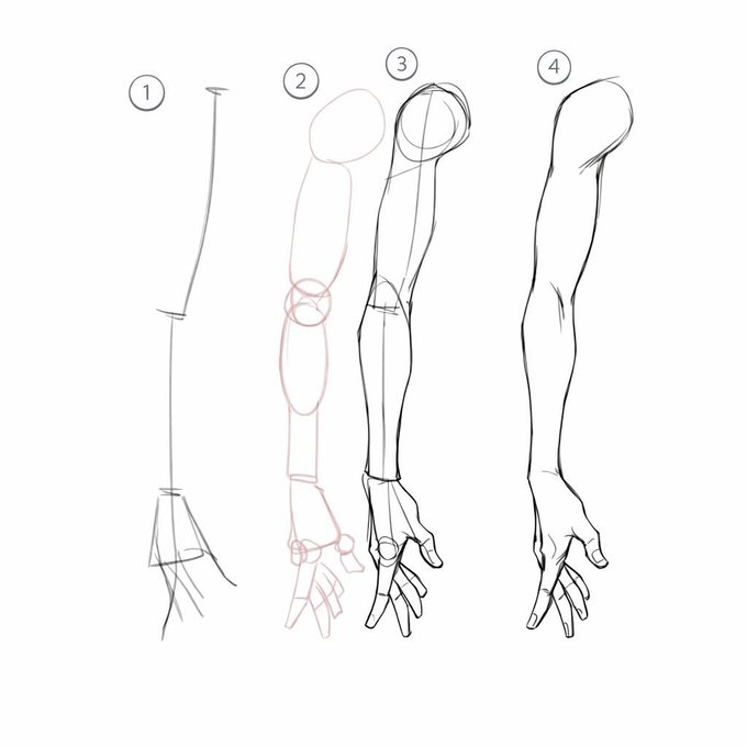 tryanglefor's tweet photo. arm drawing in 4 simple steps https://t.co/CIxHnBS16C