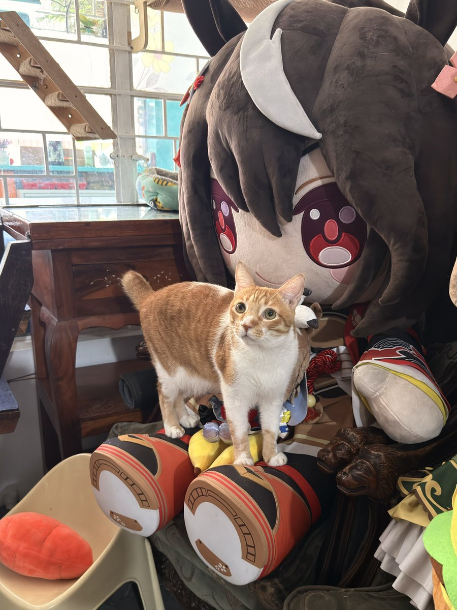 scalizo_art's tweet photo. 🐱🐴 https://t.co/JMJjvdpo8R