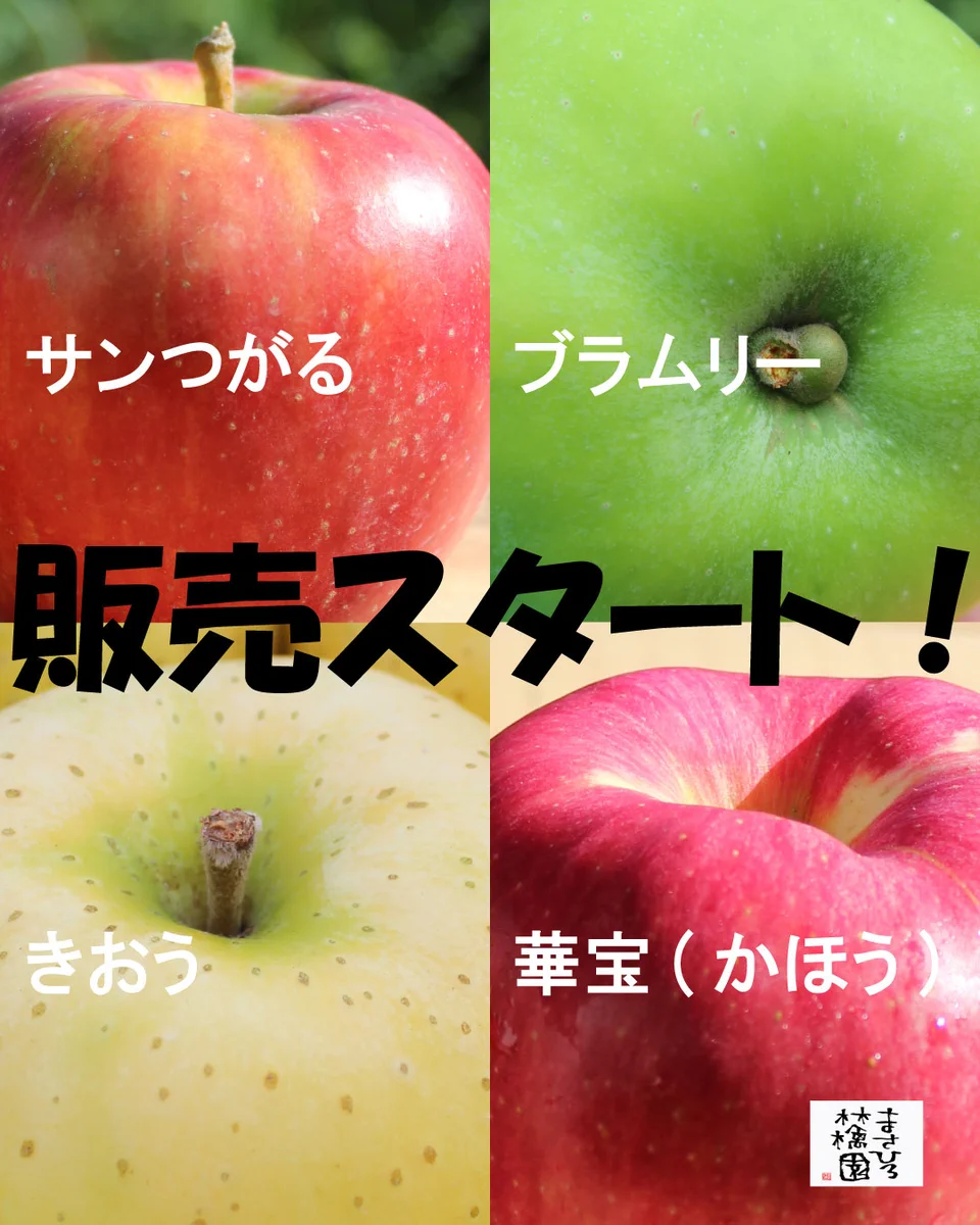🍎スタッフU@まさひろ林檎園🍏9月4日～毎月りんごが届く「まさひろ林檎