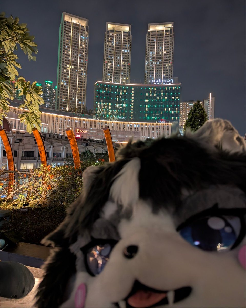 AroFursuit's tweet photo. midnight photo 📷😺

📷: Raiza https://t.co/OunV6uRhAk