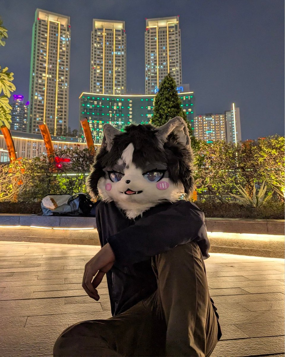 AroFursuit's tweet photo. midnight photo 📷😺

📷: Raiza https://t.co/OunV6uRhAk