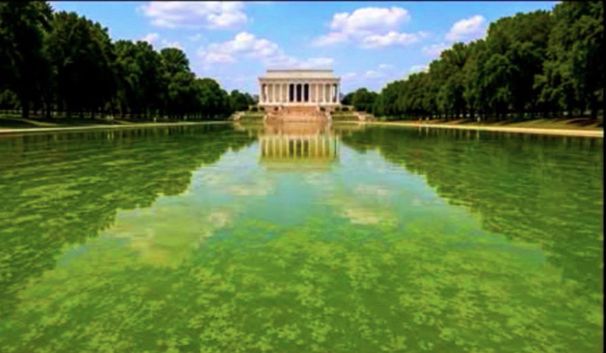 TheRealDon85's tweet photo. Lake America https://t.co/PHfhrjj9BS