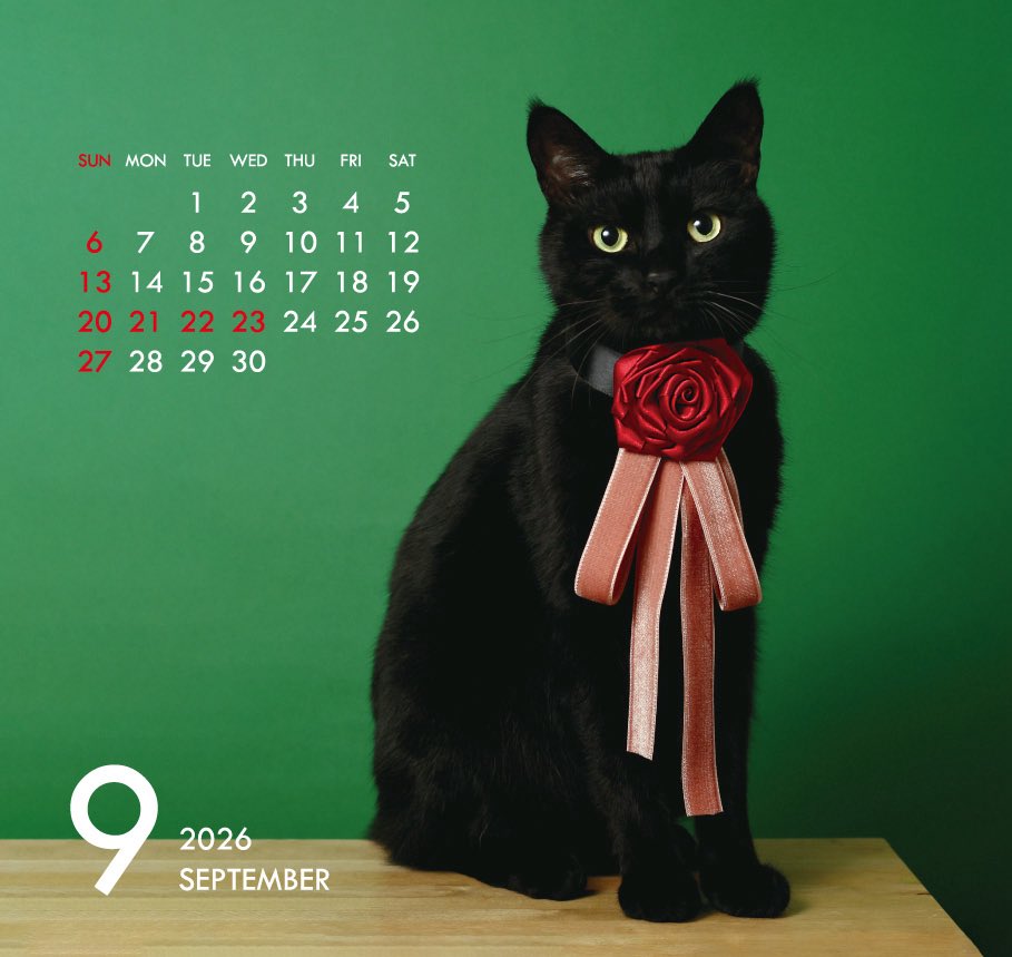 a_kinokino's tweet photo. 9月もよろしくお願いしにゃす🐾

だだ今、2027年ジュウハンカレンダーの予約受付中📅

お手元に飾ると、ご利益あるかもにゃ🐈‍⬛

BASE：https://t.co/YQNR6VgTXP https://t.co/bMy2McUbHN