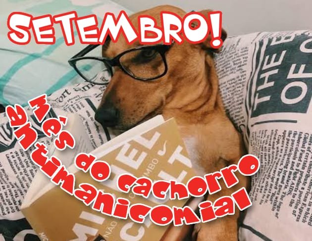 viviismo's tweet photo. mds é Setembro!!!! Mês do cachorro antimanicomial !!!!! https://t.co/5n3G5nzGmM